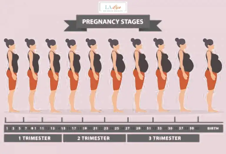 First Trimester (Weeks 1–12): Early Changes You Might Not Notice Newmarket